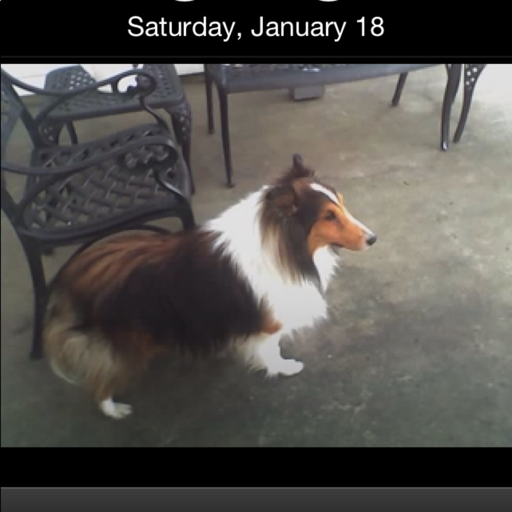 Meet your Posher, Sally